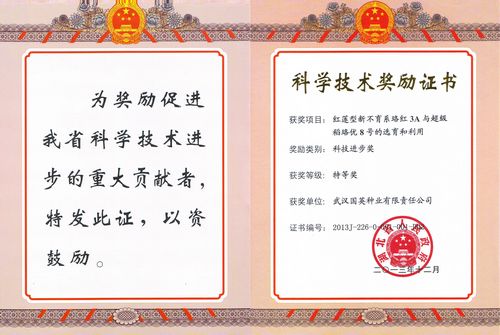 我司獲湖北省科技進步獎特等獎。